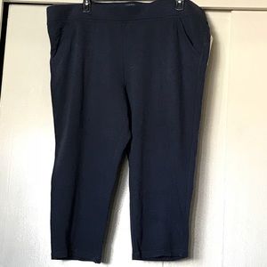 NWT SONOMA BLUE PANTS